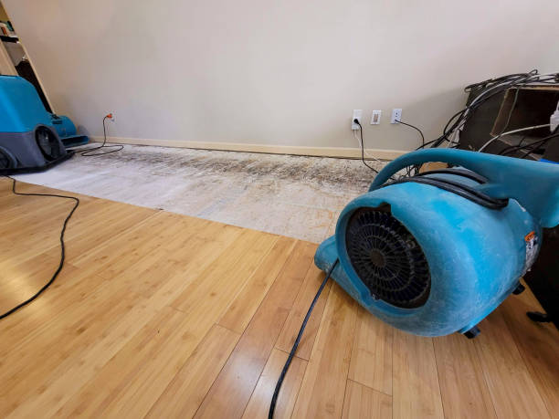 Professional Burst Pipe Water Damage technician working in Clinton, NJ